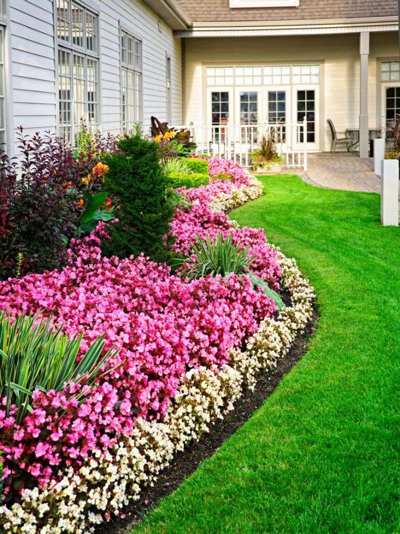 Colorful Flower Border