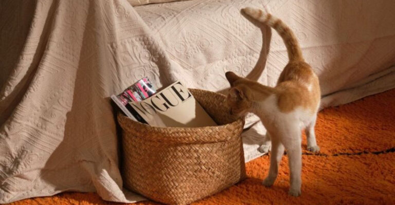 18 Easy, Budget-Friendly Tricks To Make Your Retro Décor Look Amazing Again