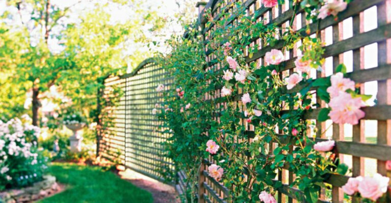 29 Landscaping Features That Are Really Annoying Your Neighbors, Real Estate Pros Say