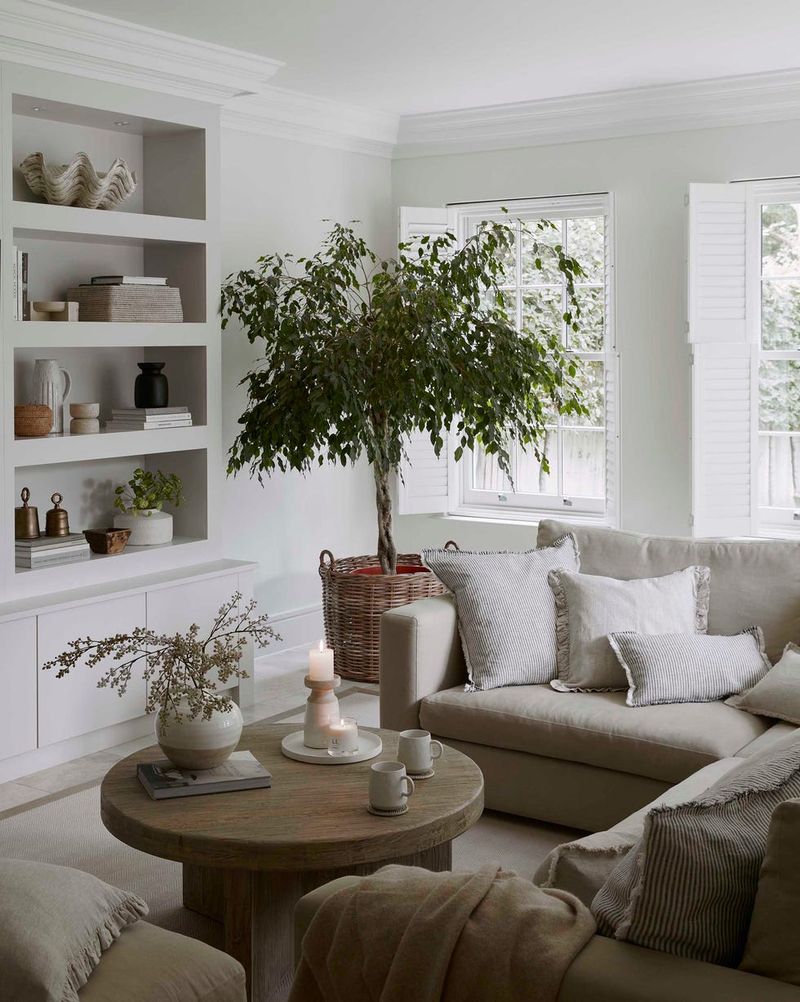 Balance Cream with Soft Gray Accents