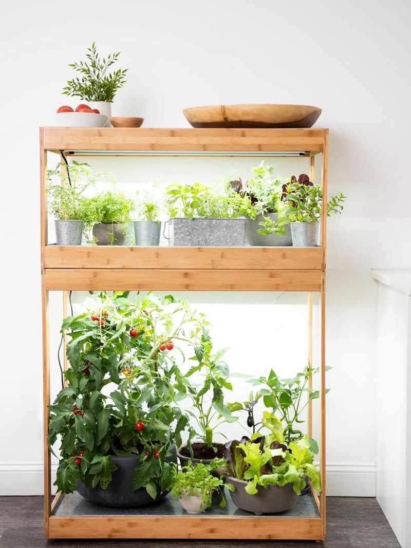Indoor Herb Garden With Grow Lights