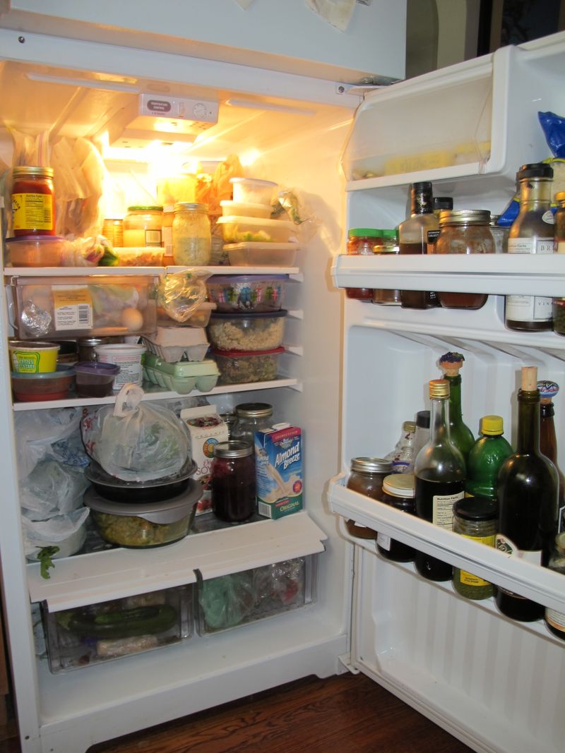 Refrigerator Science Experiments