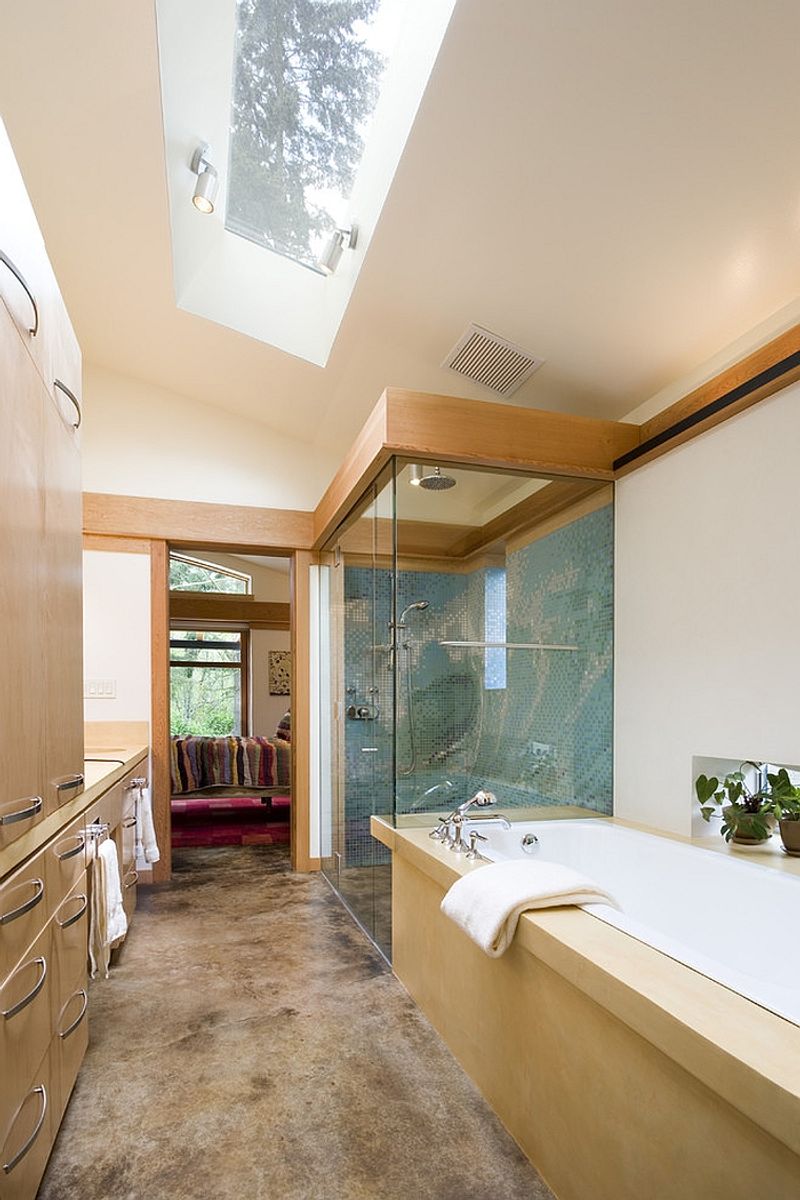 Skylight or Natural Light Window