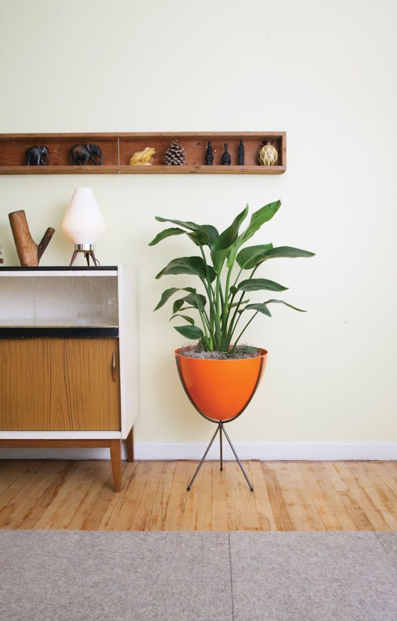 Bullet Planters