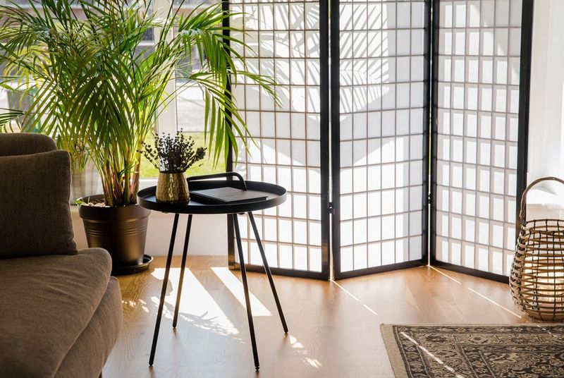 Room Divider Screens