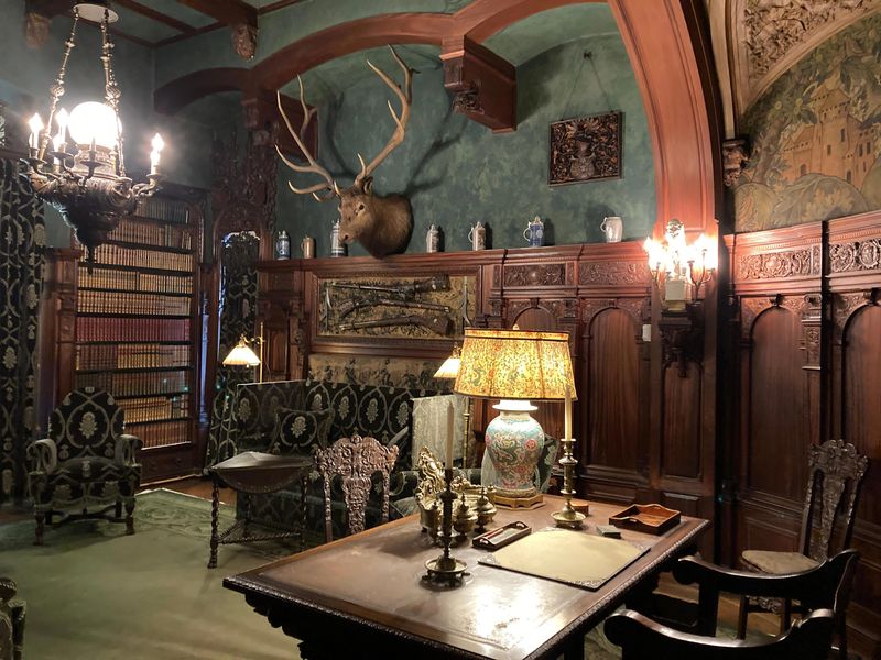 Hunting Lodge-Inspired Library
