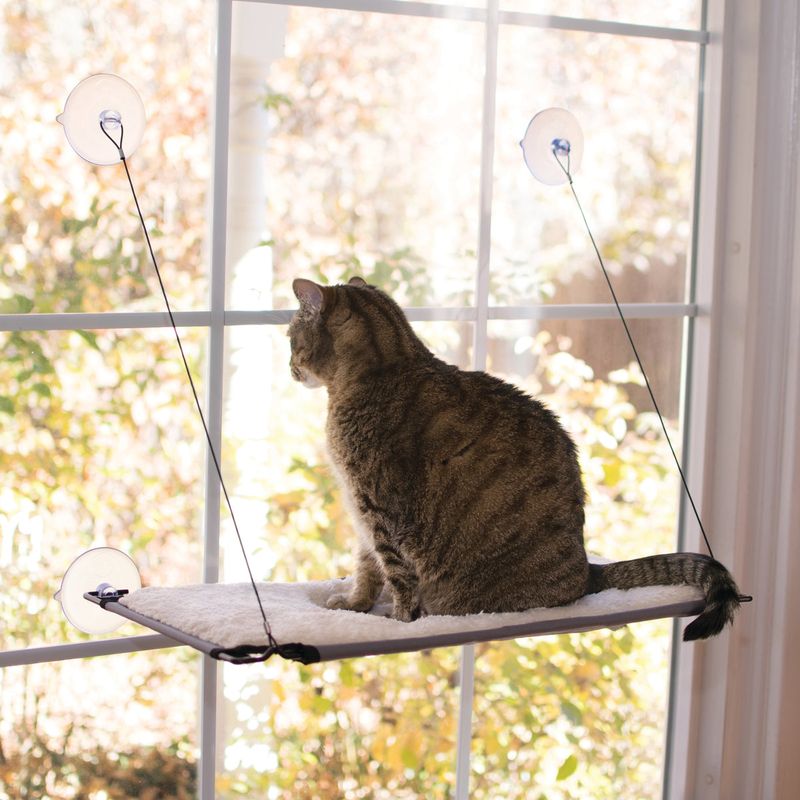 Create Cozy Window Perches