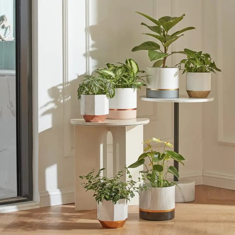 Ceramic Planters