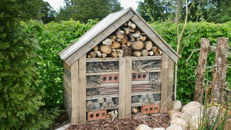 Set Up a Backyard Bug Hotel