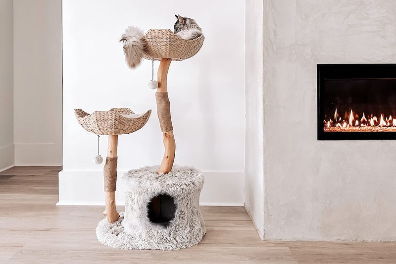 Install Multiple Scratching Posts