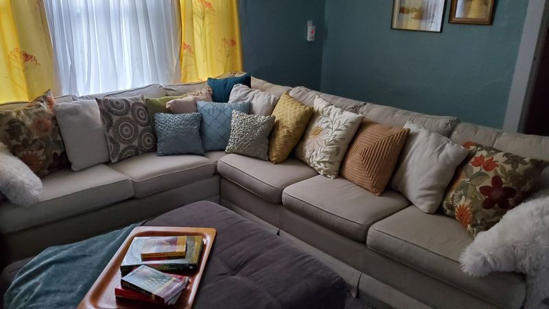 Too Many Throw Pillows