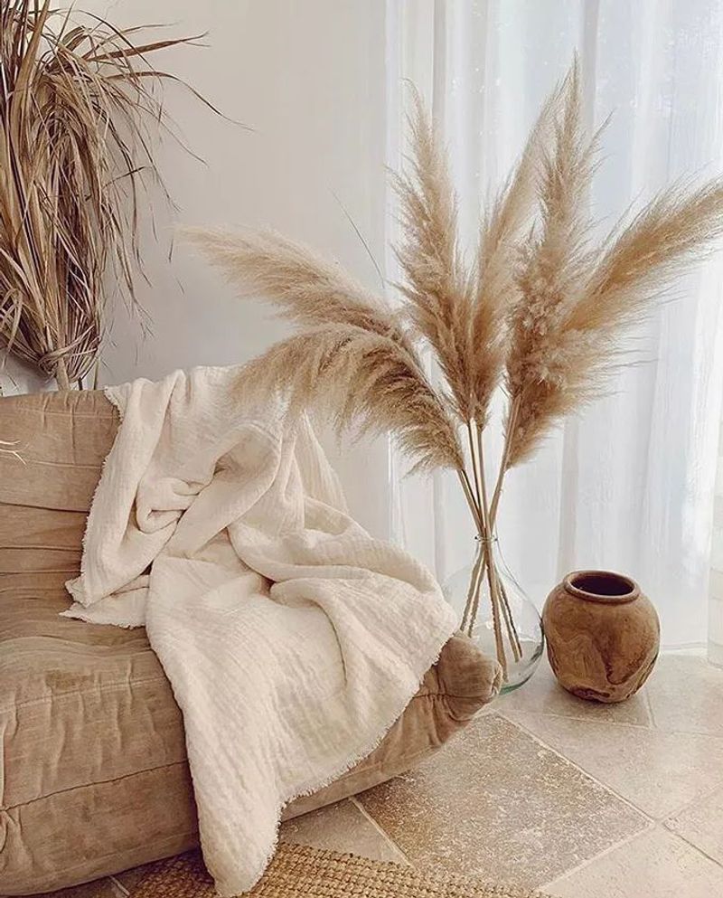 Jeremiah Brent: Pampas Grass Just Shouldn't Exist