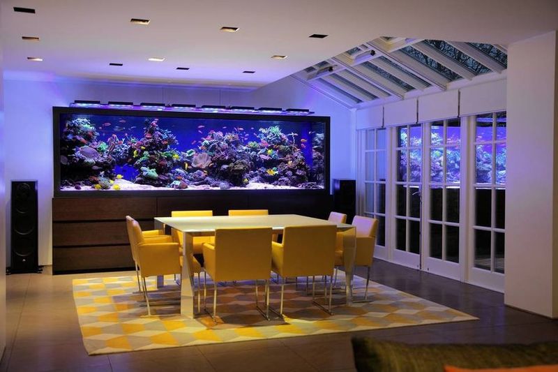 Built-in Aquariums