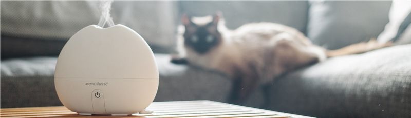 Use Pet-Safe Scented Products