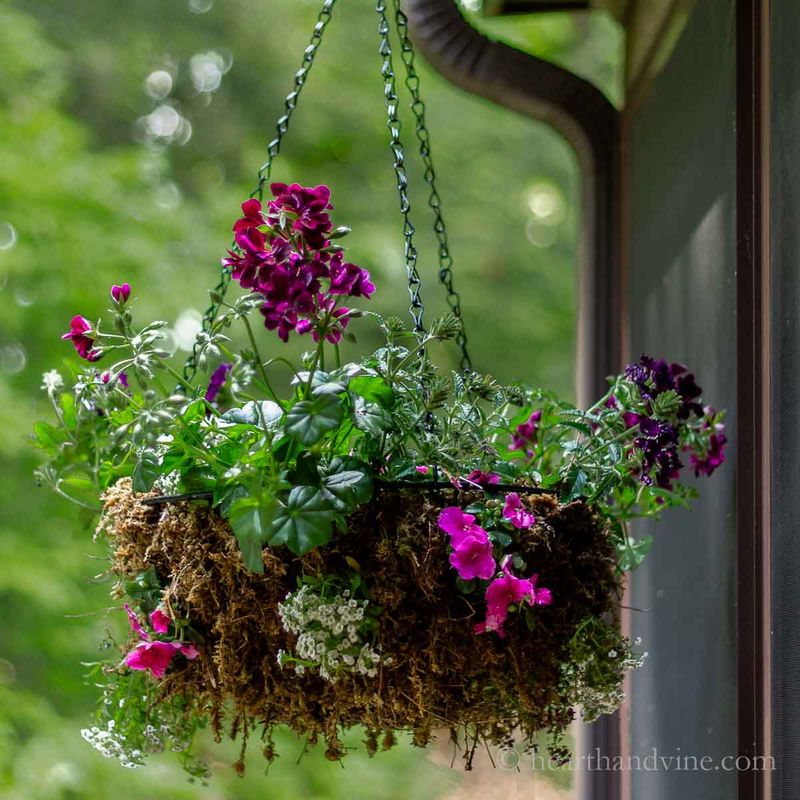 Wire Baskets