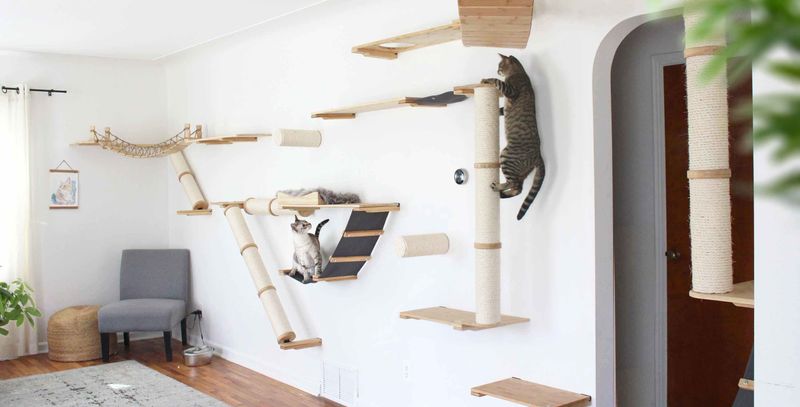 Provide Varied Climbing Opportunities
