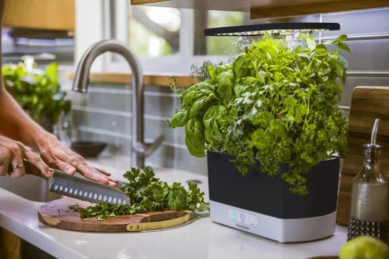 Micro Food Production Centers