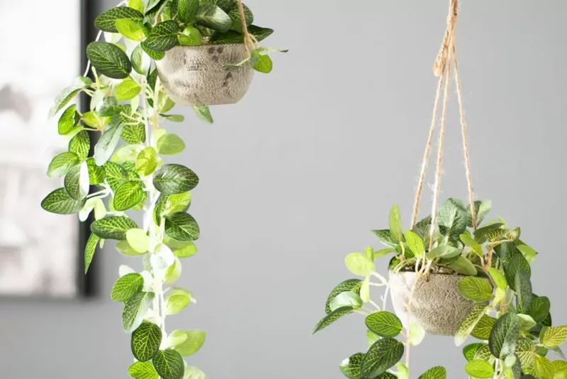 Suspended Ceiling Planter