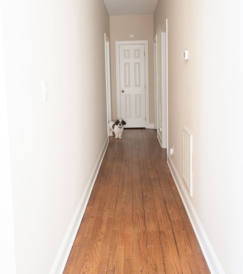 Long Narrow Hallways