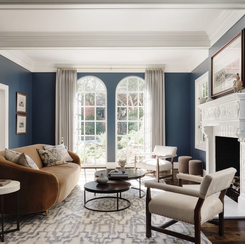 Navy And White Color Palette