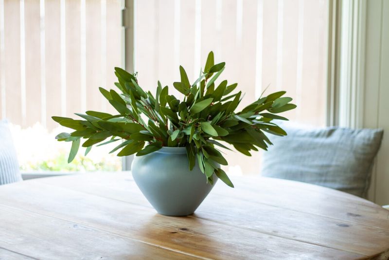 Old-World Pottery With Modern Plants