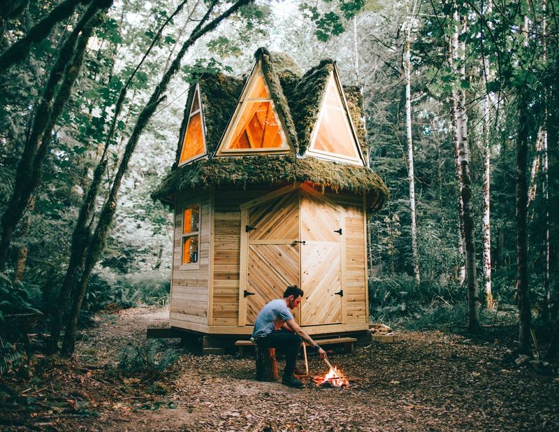Rustic Cabin Merging with the Forest