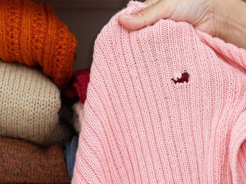 Anything Moth-Attracting