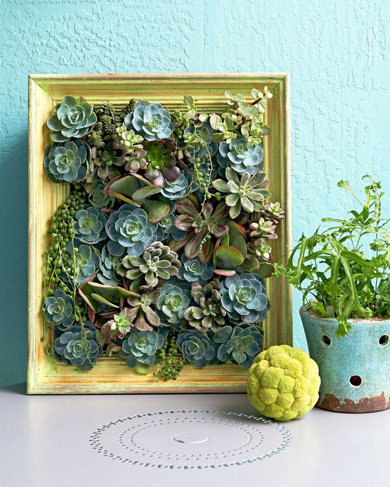Unused Picture Frames