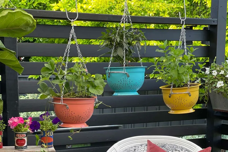Vintage Colander Garden