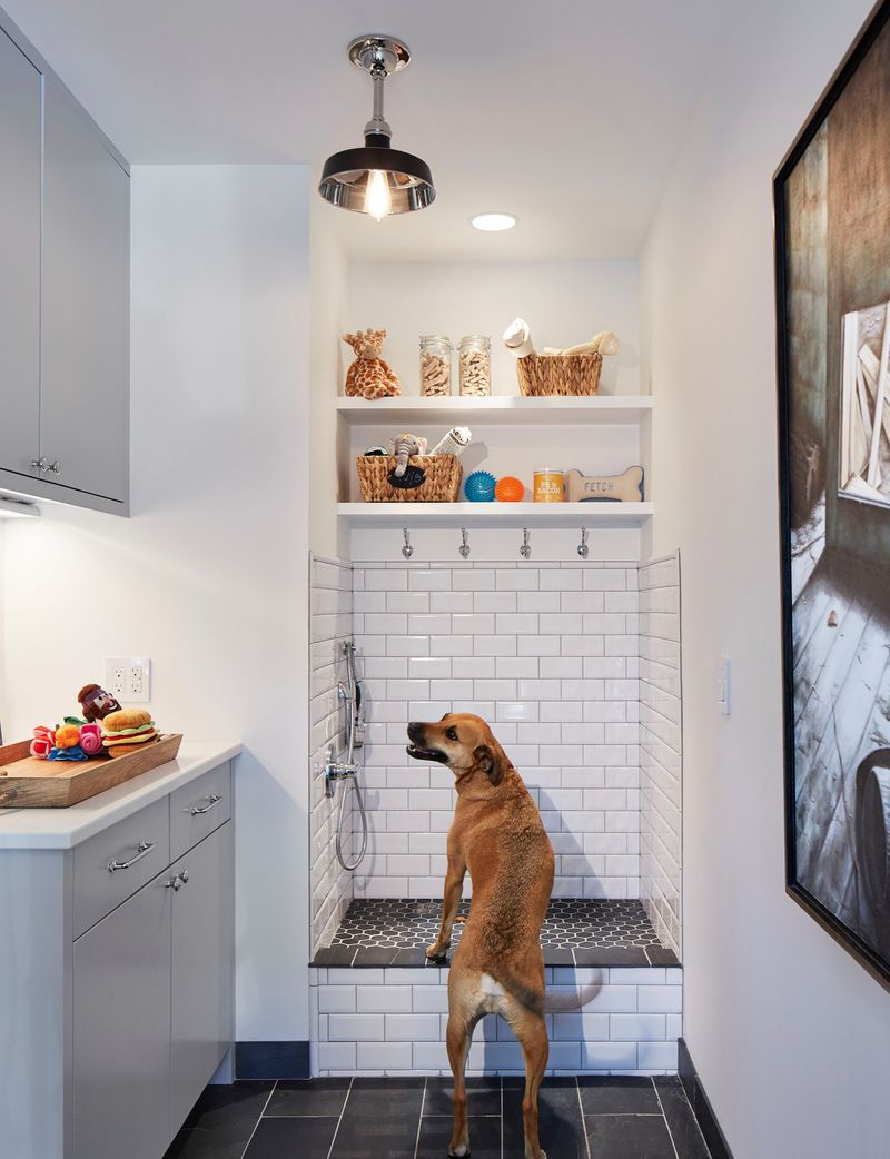 Dog Washing Station