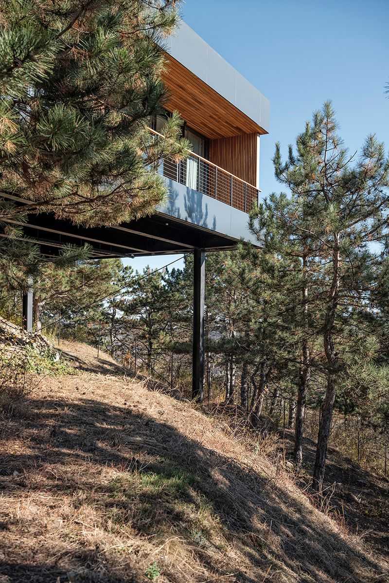 Stilted Cabin Overlooking a Wildflower Meadow