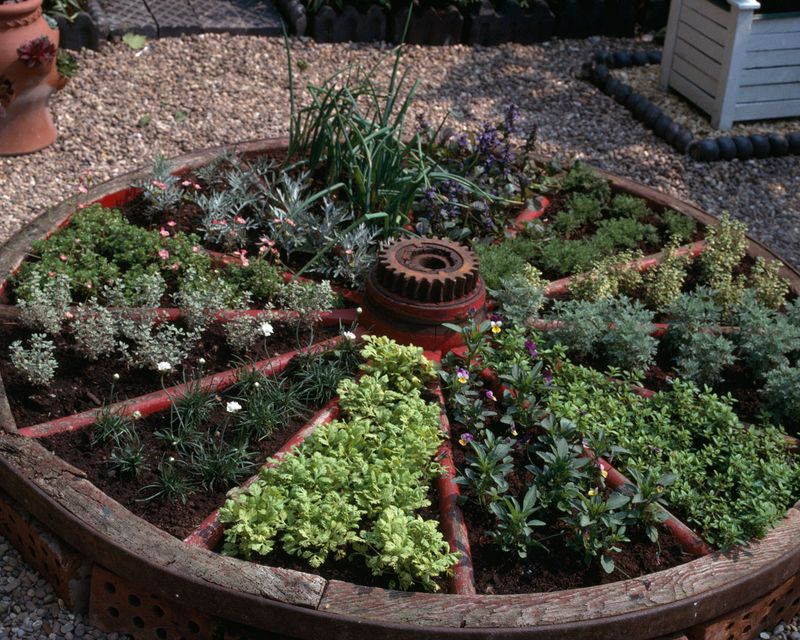 Plant a Pizza Garden