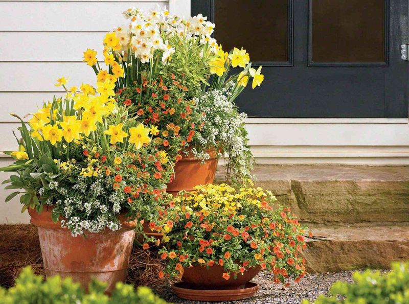 Porch Pot Trio