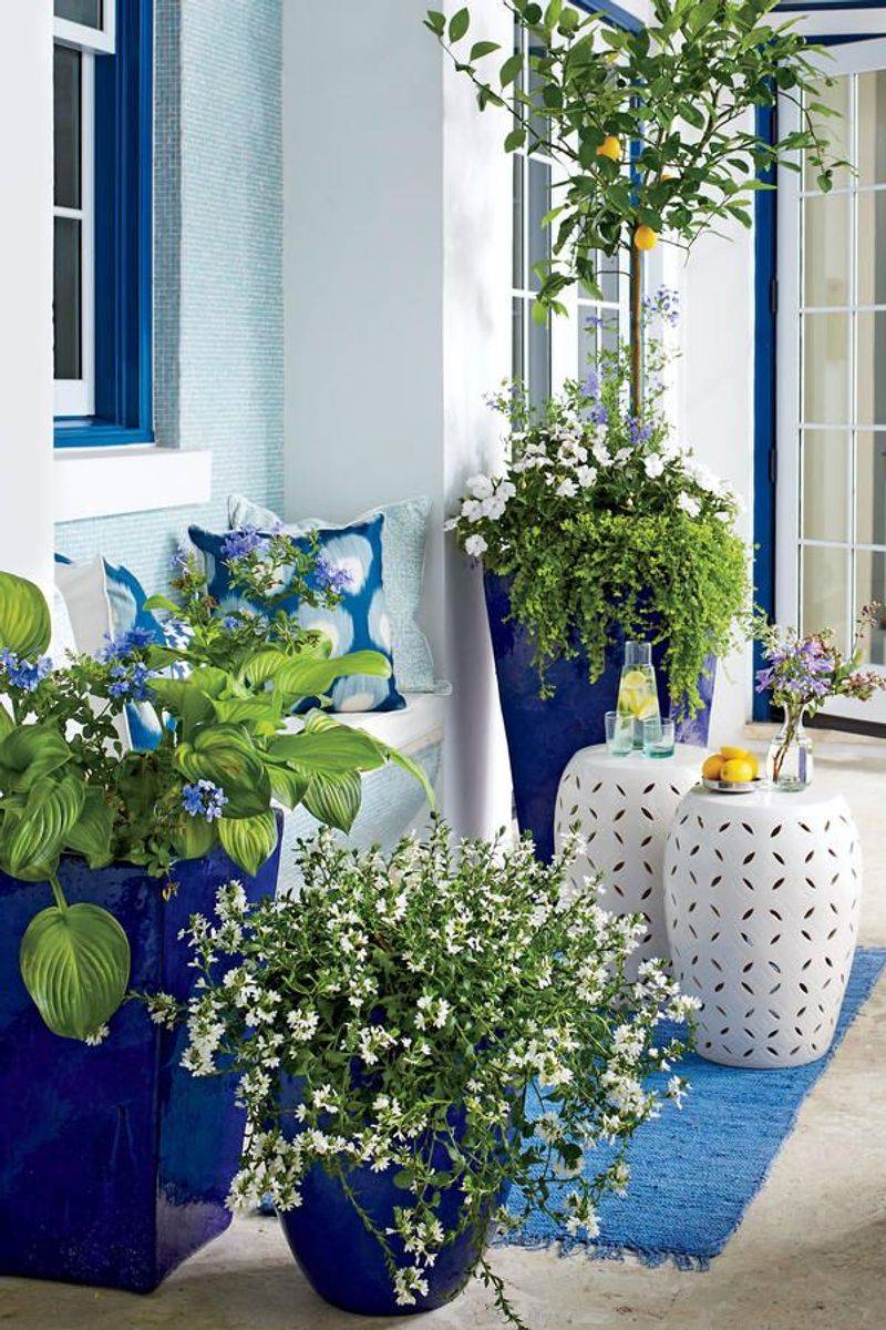 Cobalt Blue Floor Tiles with Tropical Plants