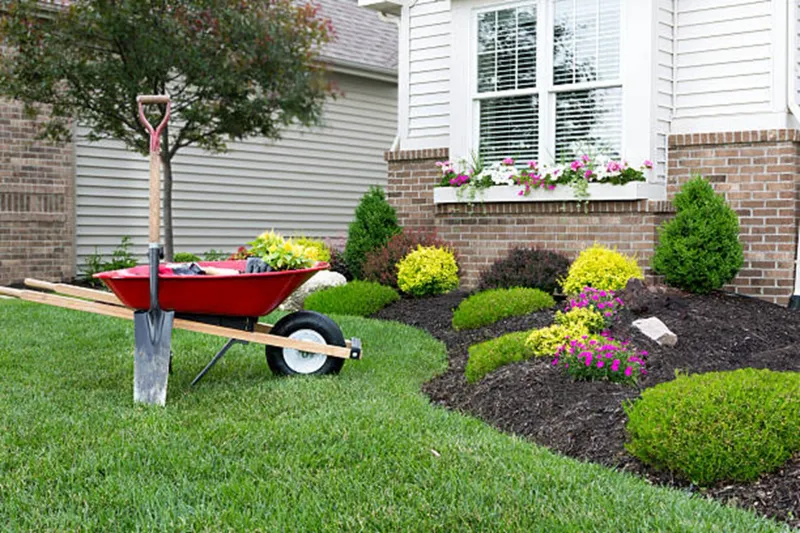 Pruning Makeover