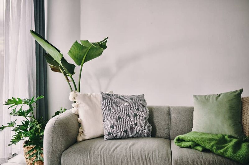 Avoiding Bold Design Choices