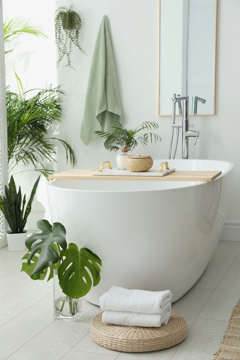 Incorporate Live Plants