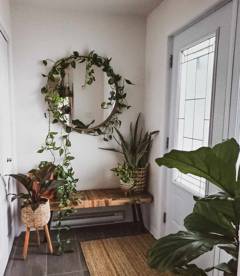Bring In A Lush Plant