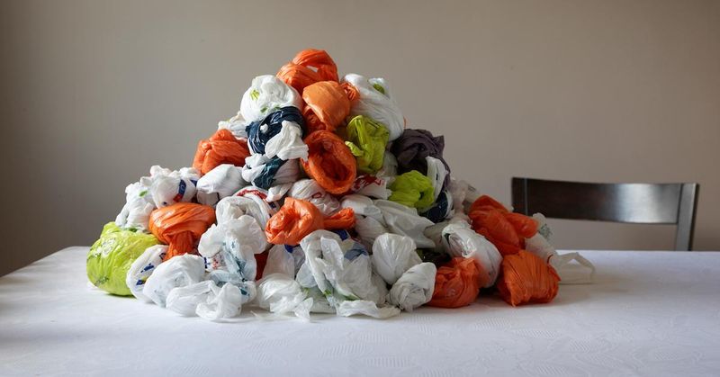 Grocery Bag Collection Gone Wild