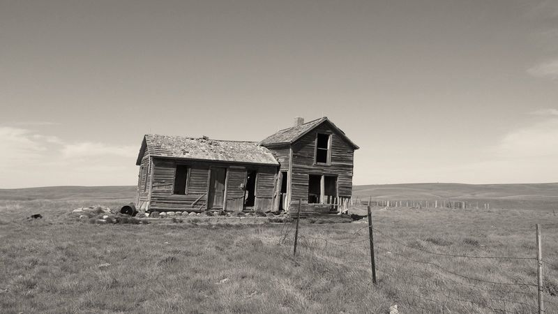 Fence Posts and First Smiles