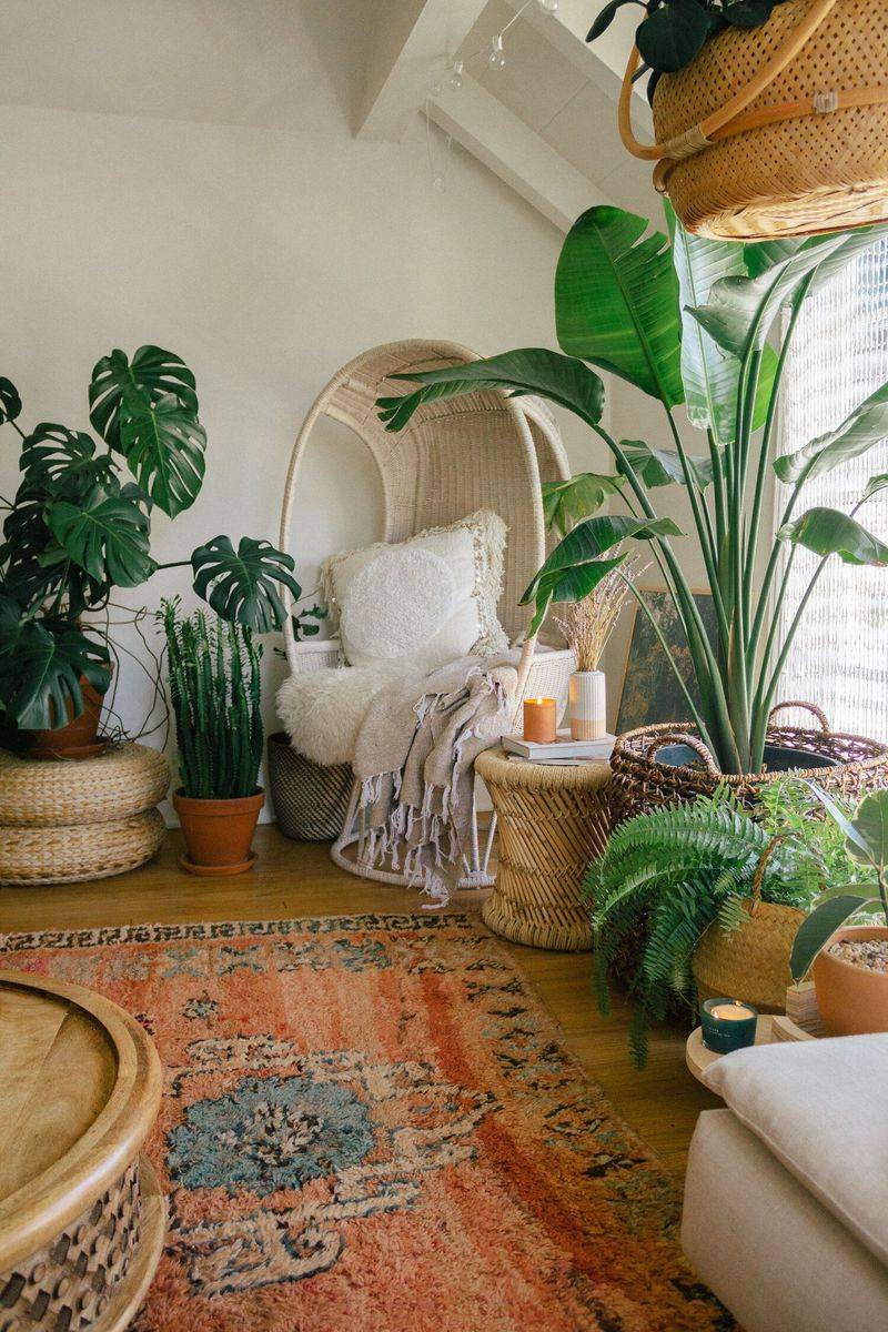 Plants—Lots of Them