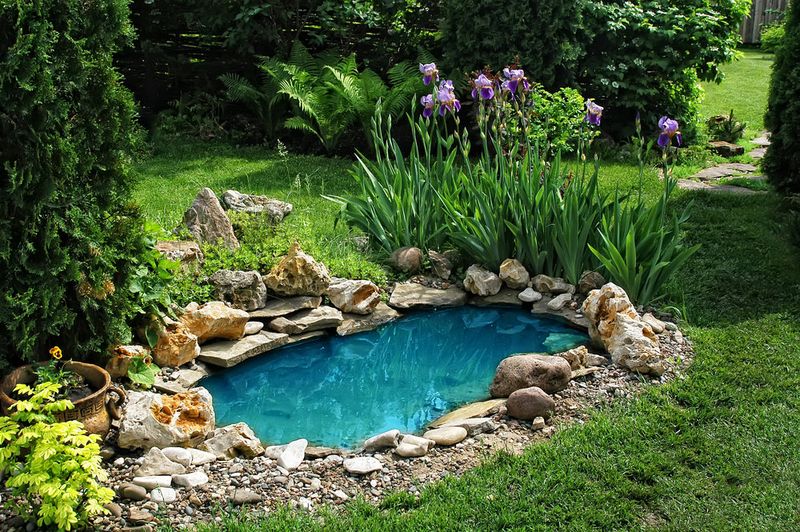 Build a Simple Pond