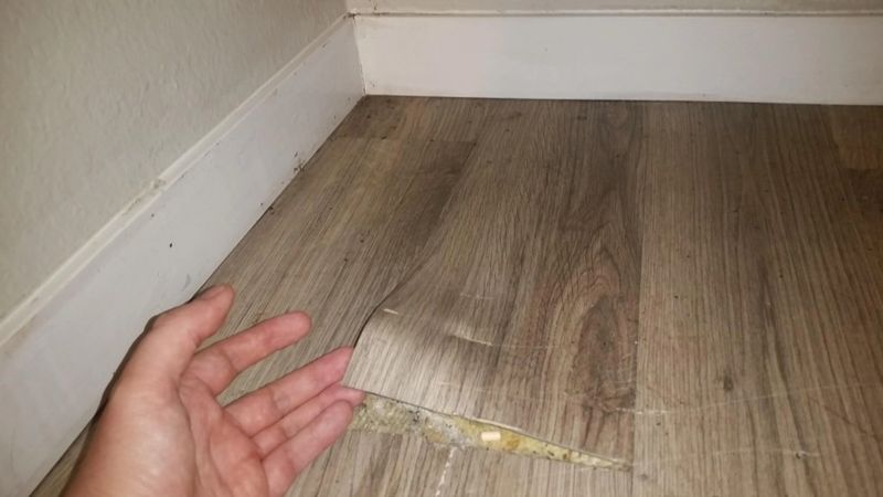 Cheap Laminate Floors That Peel