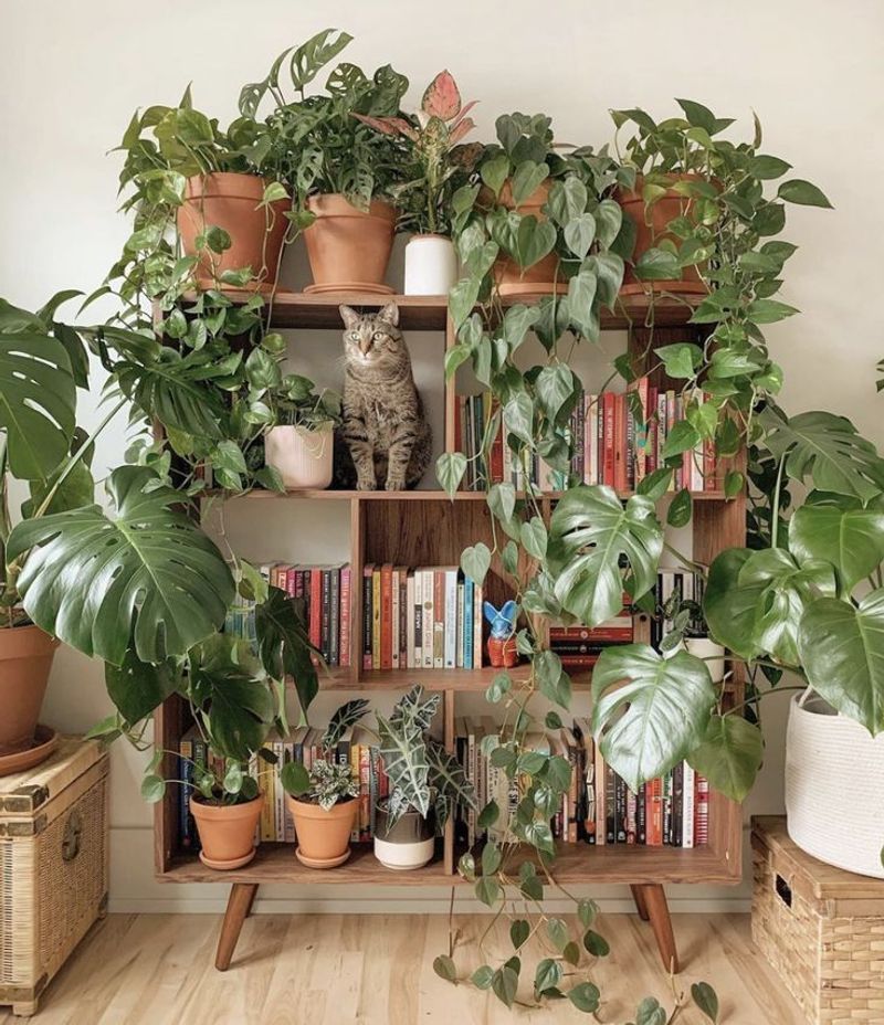 Incorporate Plants for Freshness