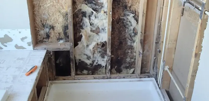 Letting Moisture Build in Bathrooms
