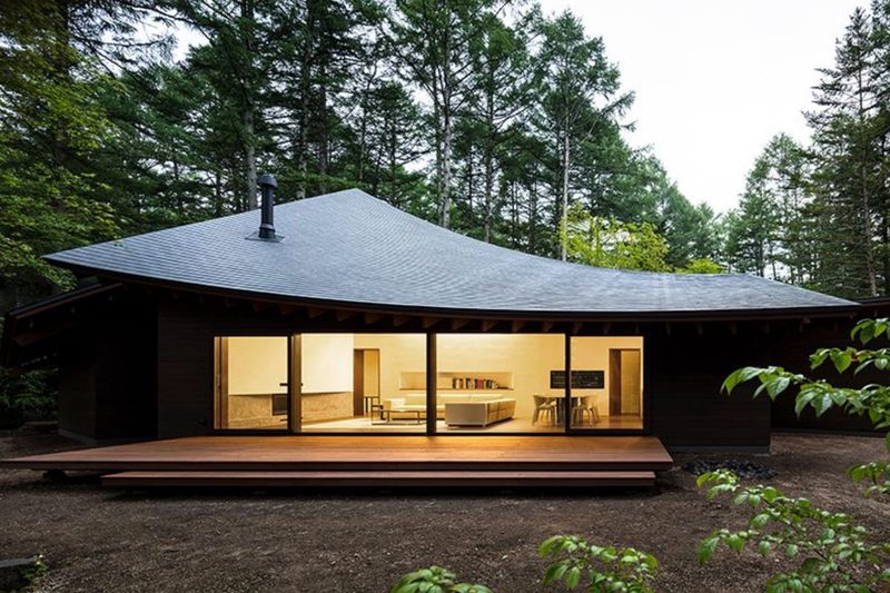 Minimalist Retreat on a Forest Floor