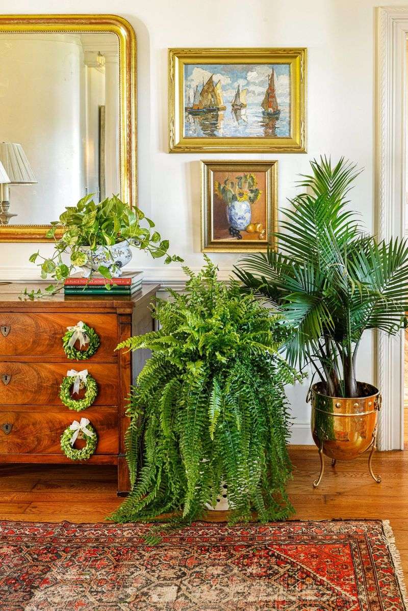 Integrate Nature with Indoor Plants