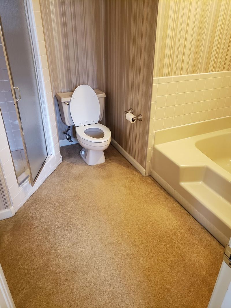 Carpet in the Bathroom