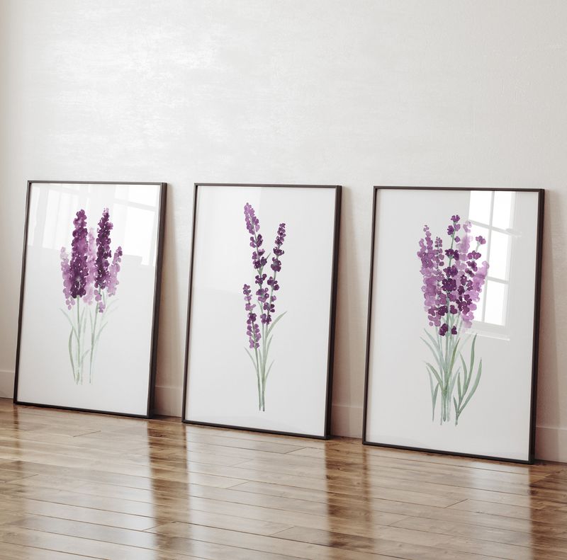 Lavender-themed art prints