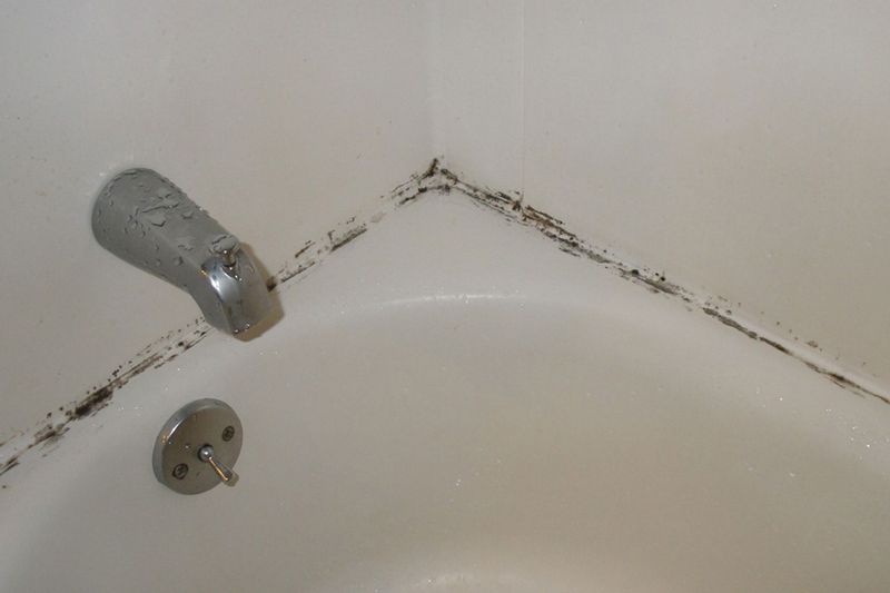 Mold And Mildew Stains